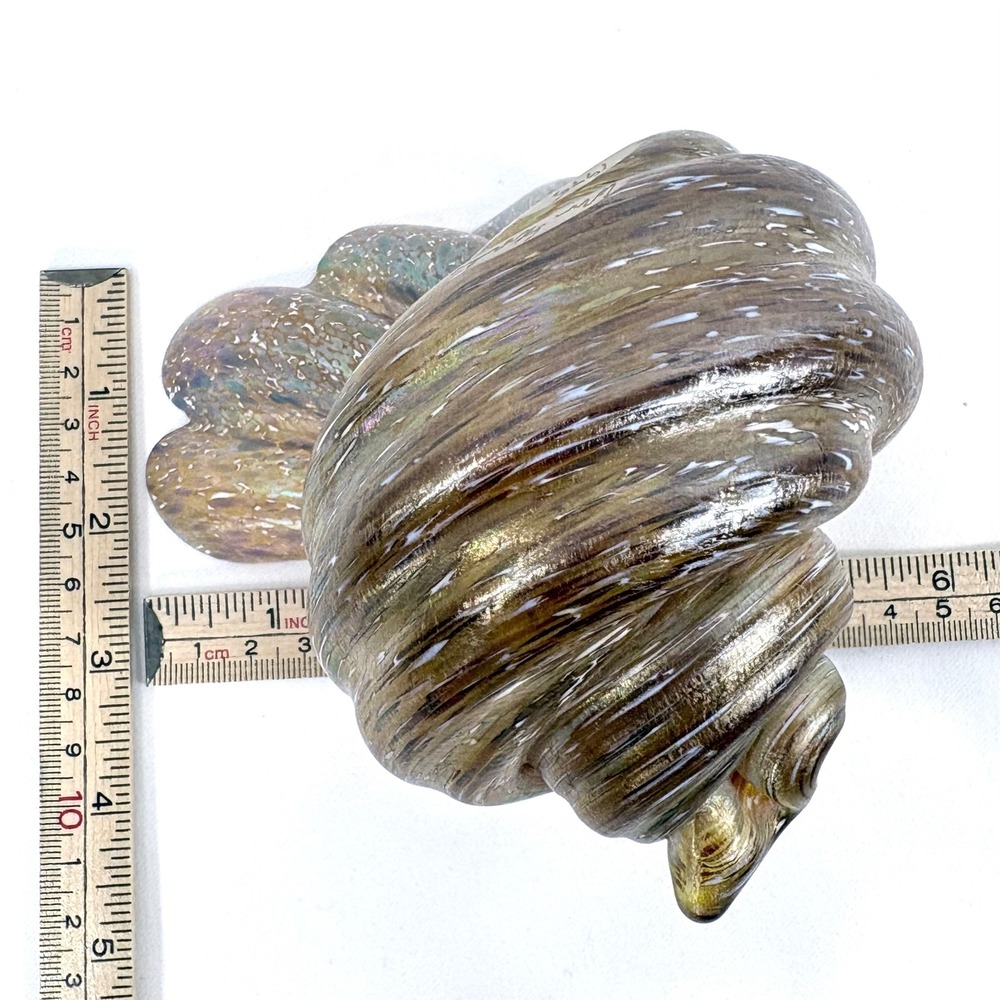 Cohn Stone Art Glass Seashell Sculpture Iridescent Gold Brown 1995 Signed - Picture 8 of 9